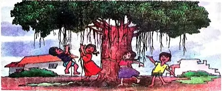 5. What other parts of your body keep growing? Some people cut it regularly. Ans. The hairs on our body keep growing regularly and people would cut them regularly. Abdul in the Garden Class 4 EVS Chapter Notes The chapter describes the main parts of the plants and roots and their function. Here are parts of plants and their function. A) Roots •	Roots keep the plant firm in the soil by holding the particles of soil. •	Roots absorb water for the stem, leaves, flowers and fruits of the plant. B) Stem •	It helps the plant to remain upright. •	It transfers water from roots to the upper part of the plant while food from the leaves to the roots of the plants. C) Leaves •	Leaves are the food factories of the plant; they prepare food for the plant. •	Leaves also provide shade and give out water vapours keeping the temperature of the shady portion lesser than that outside. D) Flowers	 •	The main function of flowers is reproduction. •	They are the sources of nectar for the birds. •	They are the source of beauty in parks. E) Fruits •	The main function of the fruits is to help in the dispersal of seeds. •	It also protects seeds from any injury. •	They are edible parts of the plant. Unusual Roots. The Banyan tree has a special type of roots which grow down from the low hanging branches of the tree. These grow down from the branches until they go into the soil. They grow in thickness and become thick like pillars. They provide strong support to the plant.