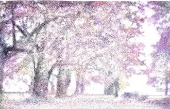 Poem-2-Trees-Class-7-Question-Answers