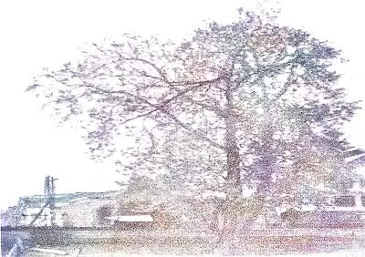 Poem-2-Trees-Class-7-Summary