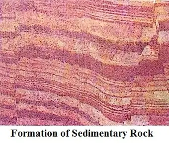 Rocks-and-Minerals-Class-5-sedimentary-rocks