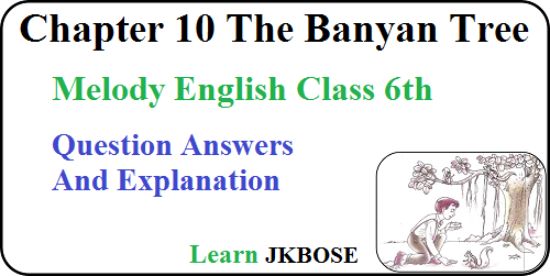 The-Banyan-Tree-Class-6-Question-Answers-and-Explanation