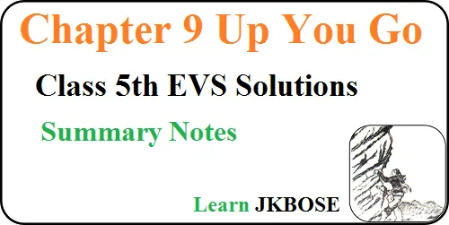 Up-You-Go-Class-5th-Chapter-9-Summary-Notes