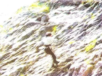 Up-you-go-class-5th-image-3