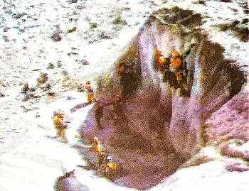 Up-you-go-class-5th-image-8