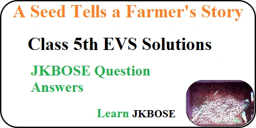 A-Seed-Tells-A-Farmers-Story-Class-5-Question-Answers