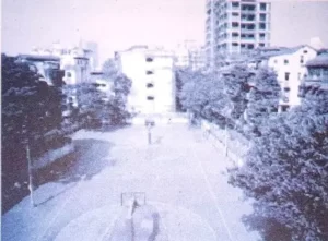 Across-the-Wall-Class-5-EVS-Summary-Notes-2