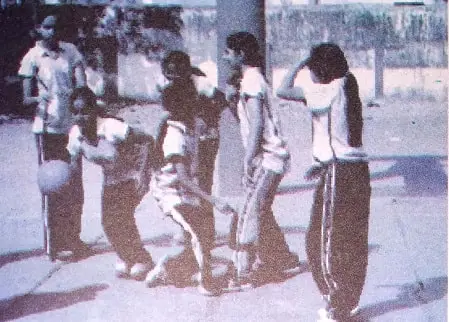 Across-the-Wall-Class-5-EVS-Summary-Notes-3