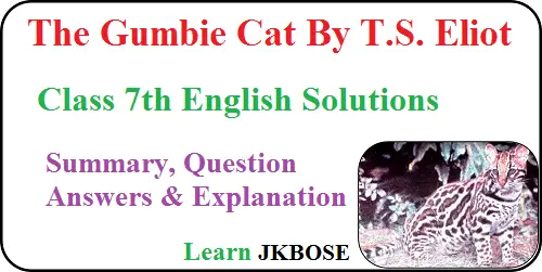 The-Gumbie-Cat-Class-7-Summary-and-Question-Answers