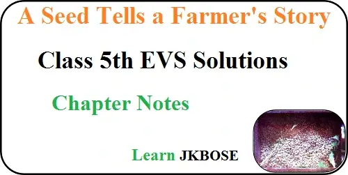 A-Seed-Tells-A-Farmers-Story-Class-5-Chapter-Notes