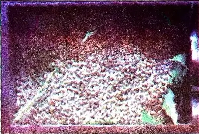 A-Seed-Tells-A-Farmers-Story-Class-5.1