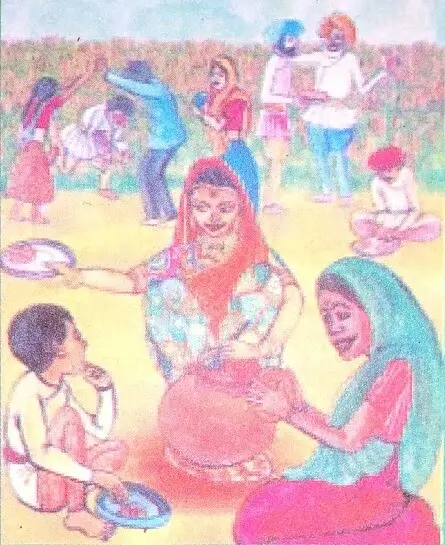 A-Seed-Tells-A-Farmers-Story-Class-5.2