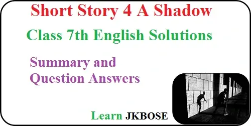 A-Shadow-Class-7th-Summary-and-Question-Answers