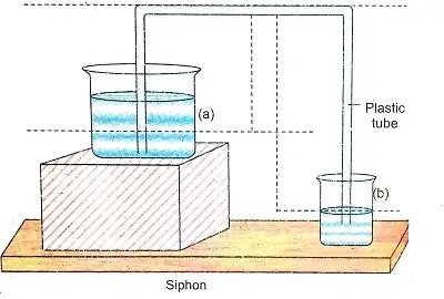 Air-its-Uses-and-Pollution-Class-5-EVS-Chapter-Notes-12