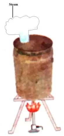 Air-its-Uses-and-Pollution-Class-5-EVS-Chapter-Notes-4