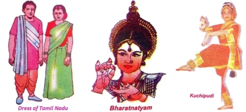 Dress-of-Tamil-Nadu-Bharatnatyam-and-Kuchipudi