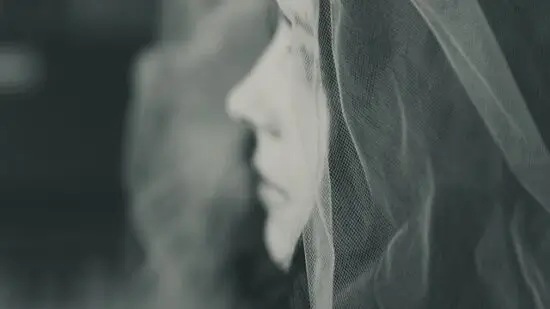 Face-Showing-Class-7-Summary-and-Question-Answers-3