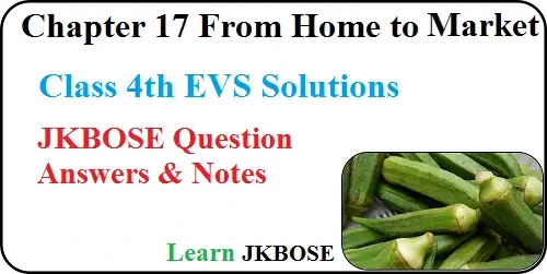 From-Home-to-Market-Class-4-Question-Answers