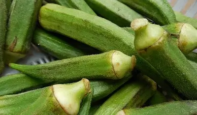 From-home-to-market-class-4-evs-6