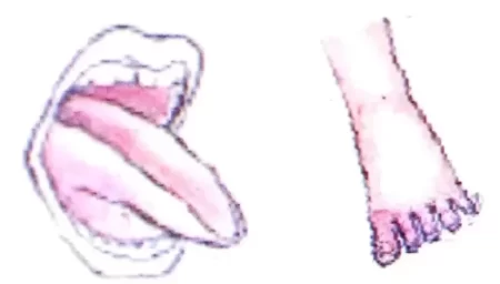 Like-Father-Like-Daughter-Class-5-Chapter-Notes-5