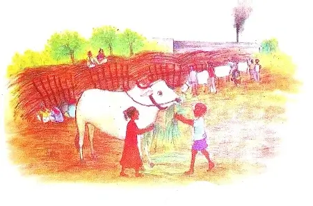 On-the-Move-Again-Class-5-Chapter-Notes-6