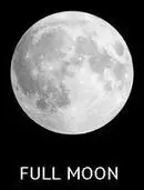 Sunita-in-Space-Class-5-EVS-Question-Answers-7