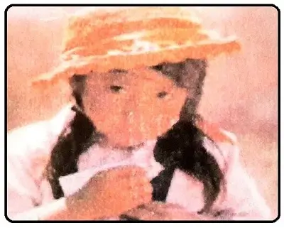 The-Little-Girl-Short-Story-Class-7