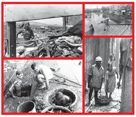 Who Will Do This Work Class 5 EVS Question Answer 1