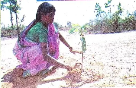 Whose-Forests-Class-5-EVS-Chapter-Notes-2