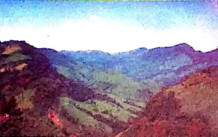 Whose-Forests-Class-5-EVS-Chapter-Notes-6