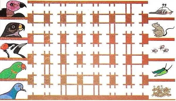 Flying-High-Class-3-EVS-Chapter-6-Question-Answers-6
