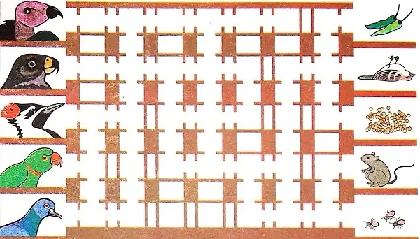 Flying-High-Class-3-EVS-Chapter-6-Question-Answers-5