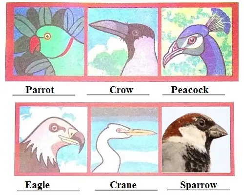 Flying-High-Class-3-EVS-Chapter-6-Question-Answers-3-1