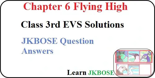 Flying High Class 3 EVS Chapter 6 Question Answers