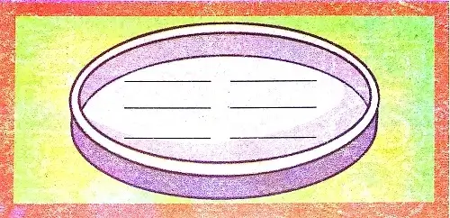 Foods-We-Eat-Class-3rd-EVS-Question-Answers-2