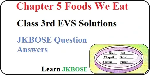 Foods-We-Eat-Class-3rd-EVS-Question-Answers