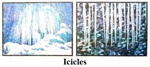 Global-Warming-Class-8-A-Catastrophe-in-the-Making-Summary-3