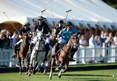 Polo-the-king-of-games-Class-8th-questions