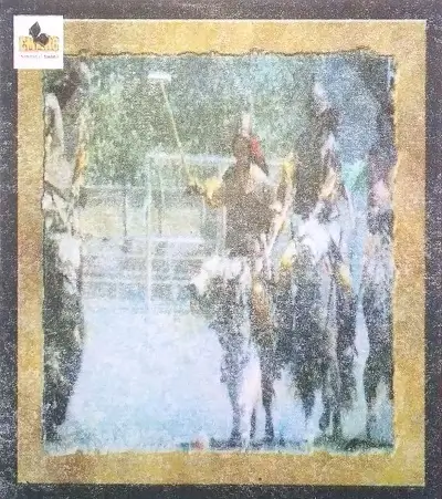 Polo-The-King-of-Games-Class-8-Summary-and-Word-Meanings-5