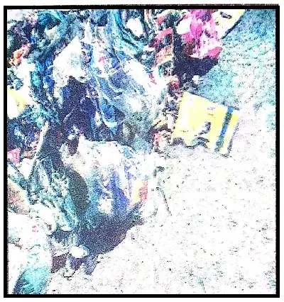 Polythene-A-Disaster-Class-8-Summary-and-Word-Meanings-2