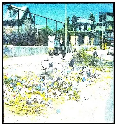 Polythene-A-Disaster-Class-8-Summary-and-Word-Meanings-3.