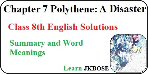 Polythene-A-Disaster-Class-8-Summary-and-Word-Meanings