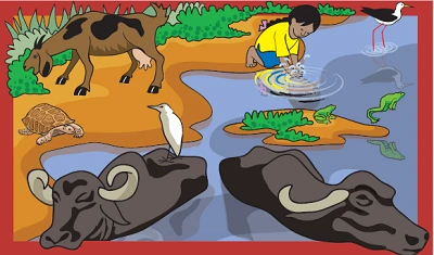 Poonams-Day-Out-Class-3rd-Question-Answers-3