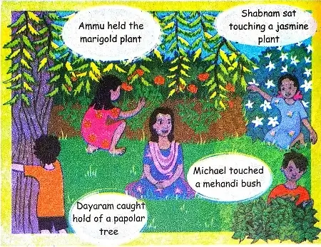 The-Plant-Fairy-Class-3rd-Question-Answers-2