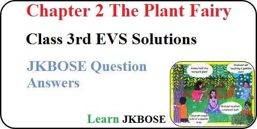 The-Plant-Fairy-Class-3rd-Question-Answers