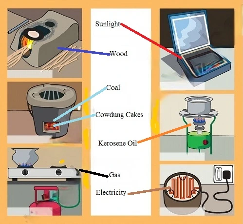 What-is-Cooking-Class-3-EVS-Chapter-7-Question-Answers-6