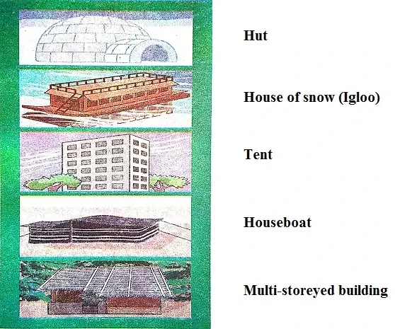 A-House-Like-This-Class-3-EVS-Question-Answers-2