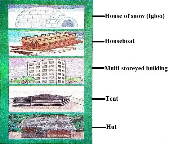 A-House-Like-This-Class-3-EVS-Question-Answers-3