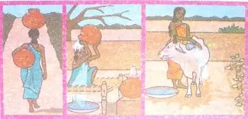 Drop-by-Drop-Class-3-EVS-Question-Answers-4