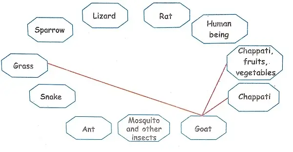 Our-Friends-Animals-Class-3-EVS-Question-Answers-4
