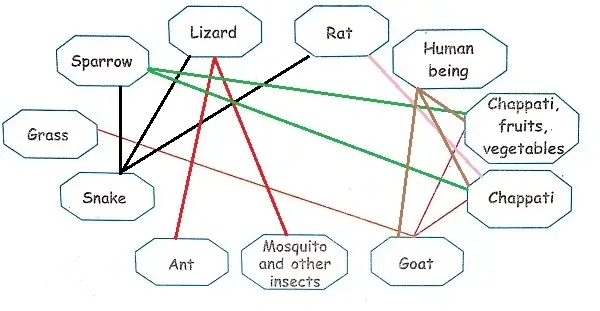  Our-Friends-Animals-Class-3-EVS-Question-Answers-5